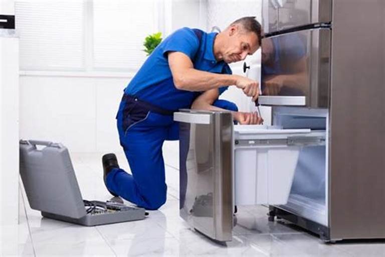 Double Door Fridge